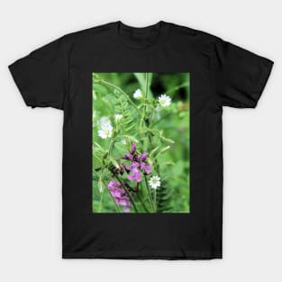 Meadow home T-Shirt